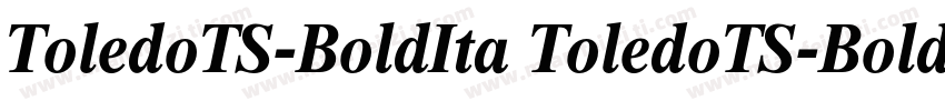 ToledoTS-BoldIta ToledoTS-BoldIta字体转换